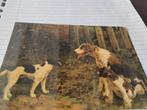 Honden op ANSICHTKAART DETAILS ZIE FOTO'S ONGELOPEN., Ophalen of Verzenden, 1920 tot 1940