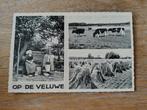 Op de veluwe, Verzenden, 1940 tot 1960, Gelderland