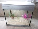 Superfish aqua 20 met grind en 2 nep planten, Ophalen, Zo goed als nieuw, Leeg aquarium