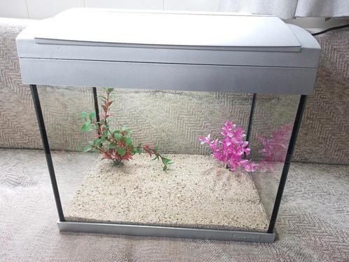 Superfish aqua 20 met grind en 2 nep planten, Dieren en Toebehoren, Vissen | Aquaria en Toebehoren, Zo goed als nieuw, Leeg aquarium