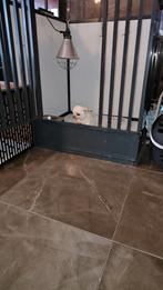 Prachtige raszuivere Mini Chihuahua Reu – Met Stamboom, Parvo, Reu, Eén hond, Chihuahua