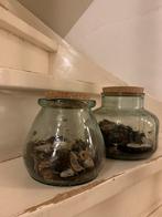 Glazen Terrarium 2x voor planten, Ophalen, Zo goed als nieuw
