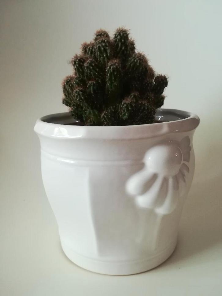 Keramieken Witte Marei Bloempot 520/14 West Germany, Tuin en Terras, Bloempotten, Zo goed als nieuw, Aardewerk, Binnen, Balkon