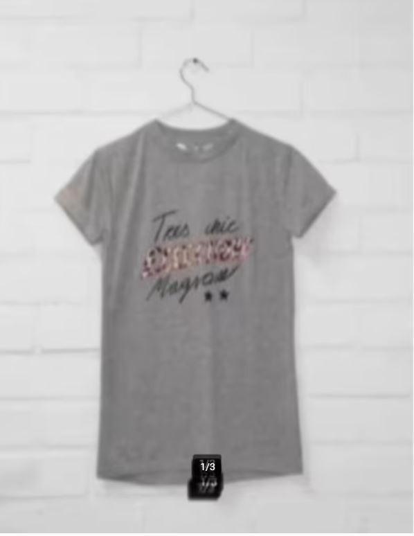 YZLS - Yeez Louise - Prachtig T-shirt maat XS - Nieuw €60, Kleding | Dames, T-shirts, Nieuw, Maat 34 (XS) of kleiner, Grijs, Korte mouw