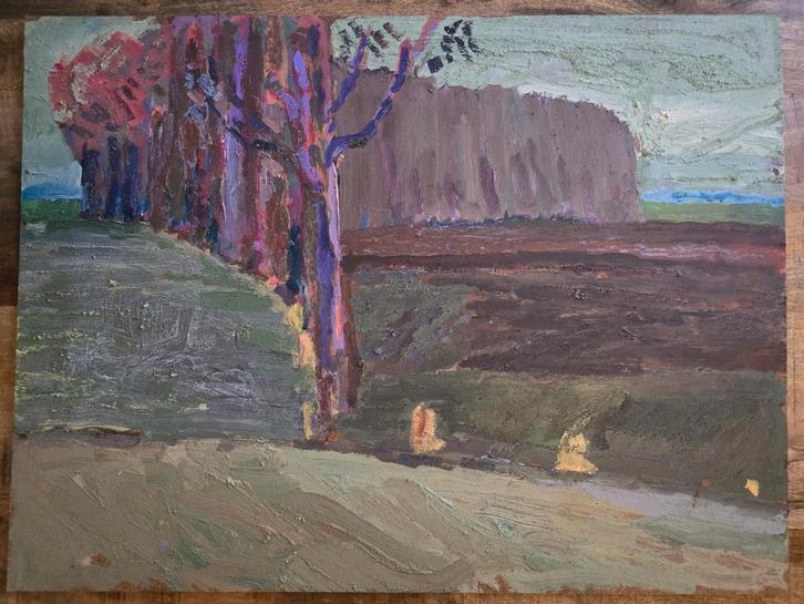 P.C. Kuiper schilderij – De Ploeg stijl – 60 x 80 cm, Antiek en Kunst, Kunst | Schilderijen | Klassiek, Ophalen of Verzenden