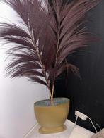Palm in pot met grit, Huis en Inrichting, Kamerplanten, Ophalen, Palm, Halfschaduw, In pot