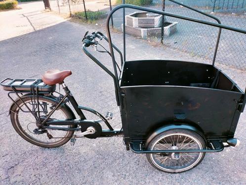 Elektrische Troy bakfiets voor hond, Fietsen en Brommers, Fietsen | Bakfietsen, Ophalen