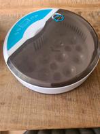 Broedmachine, Geslacht onbekend, Kip