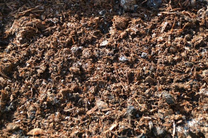 champost, Tuin en Terras, Aarde en Mest, Compost, Ophalen of Verzenden
