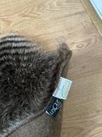 Twee leuke vachtjes, Ophalen, Zo goed als nieuw