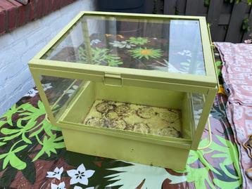 Kleine Kweekkas kweekbak metaal plexiglas groen 28x25x22 cm beschikbaar voor biedingen