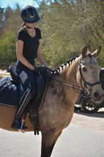 Bijrijder aangeboden!, Dieren en Toebehoren, Ophalen of Verzenden