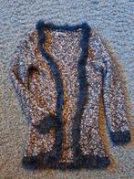 Djdutchjeans vest - maat 110, Kinderen en Baby's, Kinderkleding | Maat 110, Ophalen of Verzenden, Zo goed als nieuw, Djdutchjeans