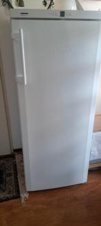 Liebherr vriezer, Witgoed en Apparatuur, Vriezers en Diepvrieskisten, Vrieskast, Gebruikt, 120 tot 140 cm, Ophalen of Verzenden