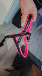 Honden tuigje, Dieren en Toebehoren, Ophalen, Nieuw