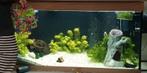 Juwel 350 liter aquarium, Dieren en Toebehoren, Vissen | Aquaria en Toebehoren, Ophalen, Leeg aquarium