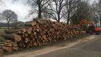 Gezocht stamhout, Ophalen, Overige houtsoorten, Stammen