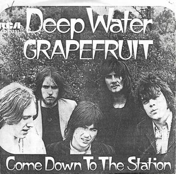 Grapefruit - Deep water beschikbaar voor biedingen