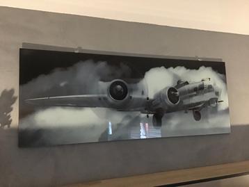 Groot Glasschilderij 150x60cm beschikbaar voor biedingen