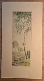 Prent berk 9 x 35,5 cm, Ophalen of Verzenden