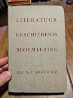 H.J.M.F. Lodewick - Literatuur geschiedenis en bloemlezing, Boeken, Ophalen of Verzenden, Zo goed als nieuw