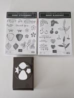 Stampin Up Sweet Strawberry & Berry Blessings Stempelset, Verzenden, Zo goed als nieuw, Clearstamp