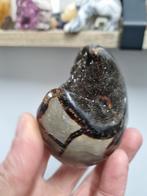 Drakenei, ei van wilde septaria, Verzamelen, Mineralen en Fossielen, Ophalen of Verzenden, Mineraal