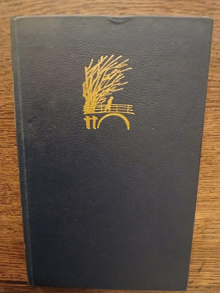 VERZOENING MET HET VERLEDEN..LANTEERNREEKS   65, Antiek en Kunst, Ophalen of Verzenden, KEES VAN GINNEKEN
