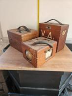 Duivenklokken, Meerdere dieren, Overige soorten