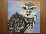 Handgeschilderde Uil / owl (50 x 50 cm.), Ophalen, Nieuw, Schilderij, 50 tot 75 cm