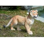 Lion Cub Standing – Welp Leeuw beeld Lengte 86 cm, Nieuw, Ophalen