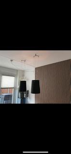 Prandina S1 mat zwart 2x, Huis en Inrichting, Lampen | Hanglampen, Ophalen of Verzenden, Gebruikt, Minder dan 50 cm