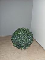 Groene Bolplant buxus bol kunststof, Overige soorten, Vaste plant, Ophalen of Verzenden, Bloeit niet