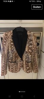 Zara Blazer maat M, Maat 38/40 (M), Overige kleuren, Zara, Ophalen of Verzenden