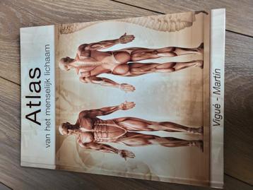 Atlas van het menselijk lichaam beschikbaar voor biedingen