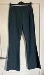 Grijze Studio Anneloes Flair, Flaired broek, pantalon XS, Studio Anneloes, Ophalen of Verzenden, Zo goed als nieuw, Maat 34 (XS) of kleiner