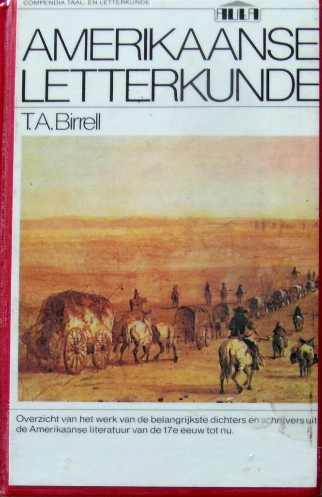 Amerikaanse letterkunde, Boeken, Literatuur, Zo goed als nieuw, Ophalen of Verzenden