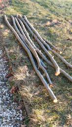 Wilgentenen, 7 stuks, versgezaagd, dikte 5 cm., Ophalen, Nieuw, 180 tot 250 cm, Overige typen
