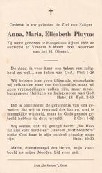 Pluyms Anna 1882 Hoogeloon 1956 Vessem, Ophalen of Verzenden, Bidprentje