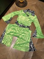 Disco zebra pak set maat l groen velvet carnaval festival, Kleding | Dames, Ophalen of Verzenden, Nieuw, Maat 42/44 (L), Carnaval