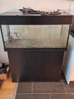Compleet aquarium, Dieren en Toebehoren, Vissen | Aquaria en Toebehoren, Ophalen, Gebruikt, Leeg aquarium