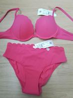 Nieuw bikini M scallop pink roze M top 80B, Nieuw, Ophalen of Verzenden, Roze, Bikini