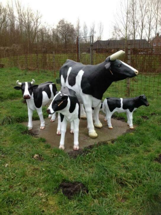 polyester koeien te koop, Tuin en Terras, Tuinbeelden, Nieuw, Kunststof, Ophalen