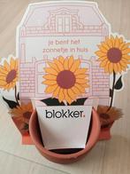 Zonnebloem kweekset, Tuin en Terras, Ophalen of Verzenden, Voorjaar, Volle zon, Zaad