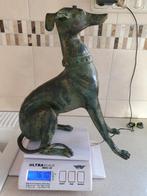 Whippet , Greyhound , Windhond, Verzamelen, Ophalen of Verzenden, Zo goed als nieuw, Dier
