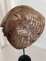 Songye Luba Kifwebe Afrikaanse kunst collectie Matadi 1950, Antiek en Kunst, Kunst | Niet-Westerse kunst, Ophalen of Verzenden