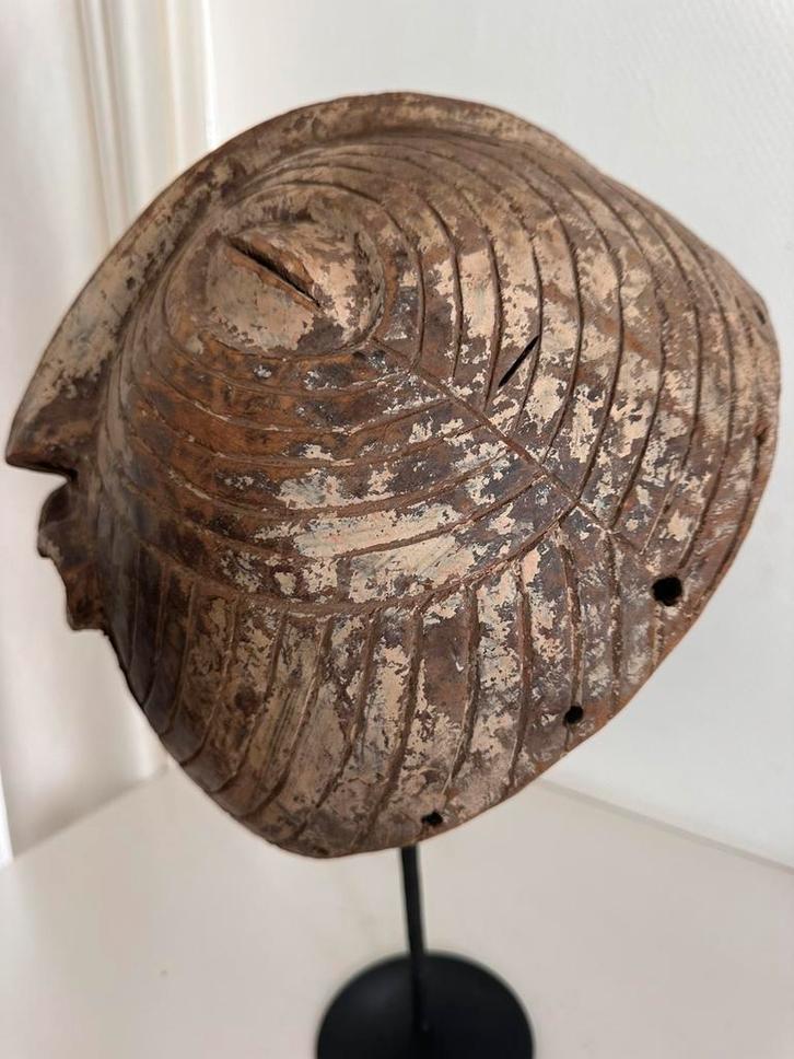 Songye Luba Kifwebe Afrikaanse kunst collectie Matadi 1950, Antiek en Kunst, Kunst | Niet-Westerse kunst, Ophalen of Verzenden