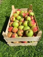 Delcorf / Delbarestvial appels, Diversen, Ophalen