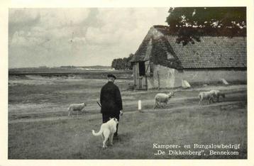 (387-175-037) Bennekom De Dikkenberg beschikbaar voor biedingen