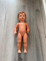 Schilpad pop, Verzamelen, Poppen, Ophalen, Gebruikt, Pop